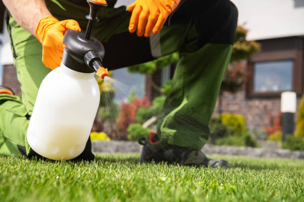 Wasp Removal Services in Claryville, KY