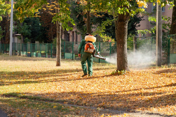 Trusted Claryville, KY Pest Control Experts